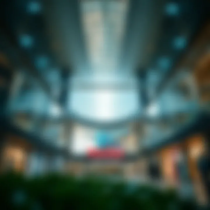 Analyzing the Cancellation of Meydan One Mall: Implications and Insights Summary