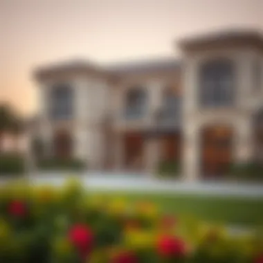 Luxurious Villa in Dubai Luxurious villa in a prominent neighborhood of Dubai