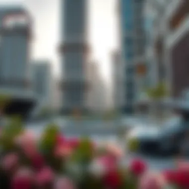 Notable Exploring Apartments for Rent in Dubai Internet City Notable Exploring Apartments for Rent in Dubai Internet City