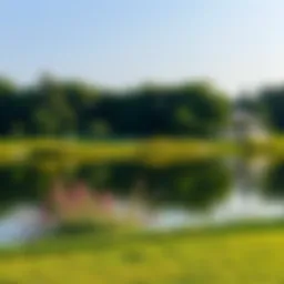 Tranquil view of Barsha Pond surrounded by lush greenery