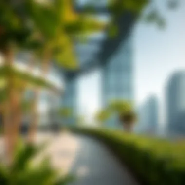 Notable Exploring Green View 3 Tecom: An Insight into Dubai's Innovative Real Estate Notable Exploring Green View 3 Tecom: An Insight into Dubai's Innovative Real Estate