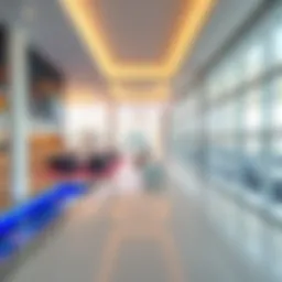 Exploring Lulu Silicon Oasis: Real Estate Insights and Opportunities Introduction