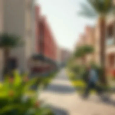 Vibrant surroundings of Maimoon Gardens depicting the dynamic residential landscape.