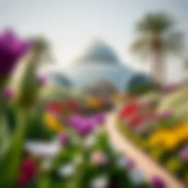 Exploring the Opening Hours of Dubai's Flower Garden Summary Exploring the Opening Hours of Dubai's Flower Garden Summary