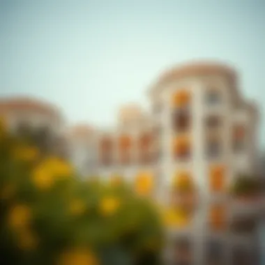 Notable Understanding Non-Resident Accounts in the UAE Notable Understanding Non-Resident Accounts in the UAE